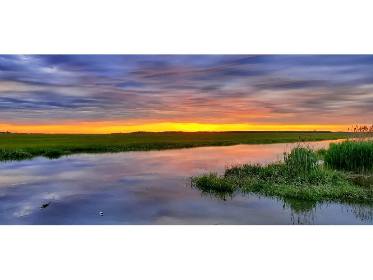 Natural Lands' Glades Wildlife Refuge photo 2