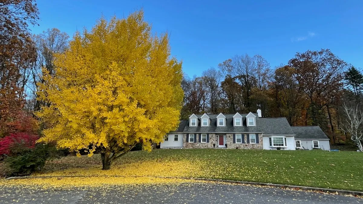 Natural Oasis Landscaping LLC