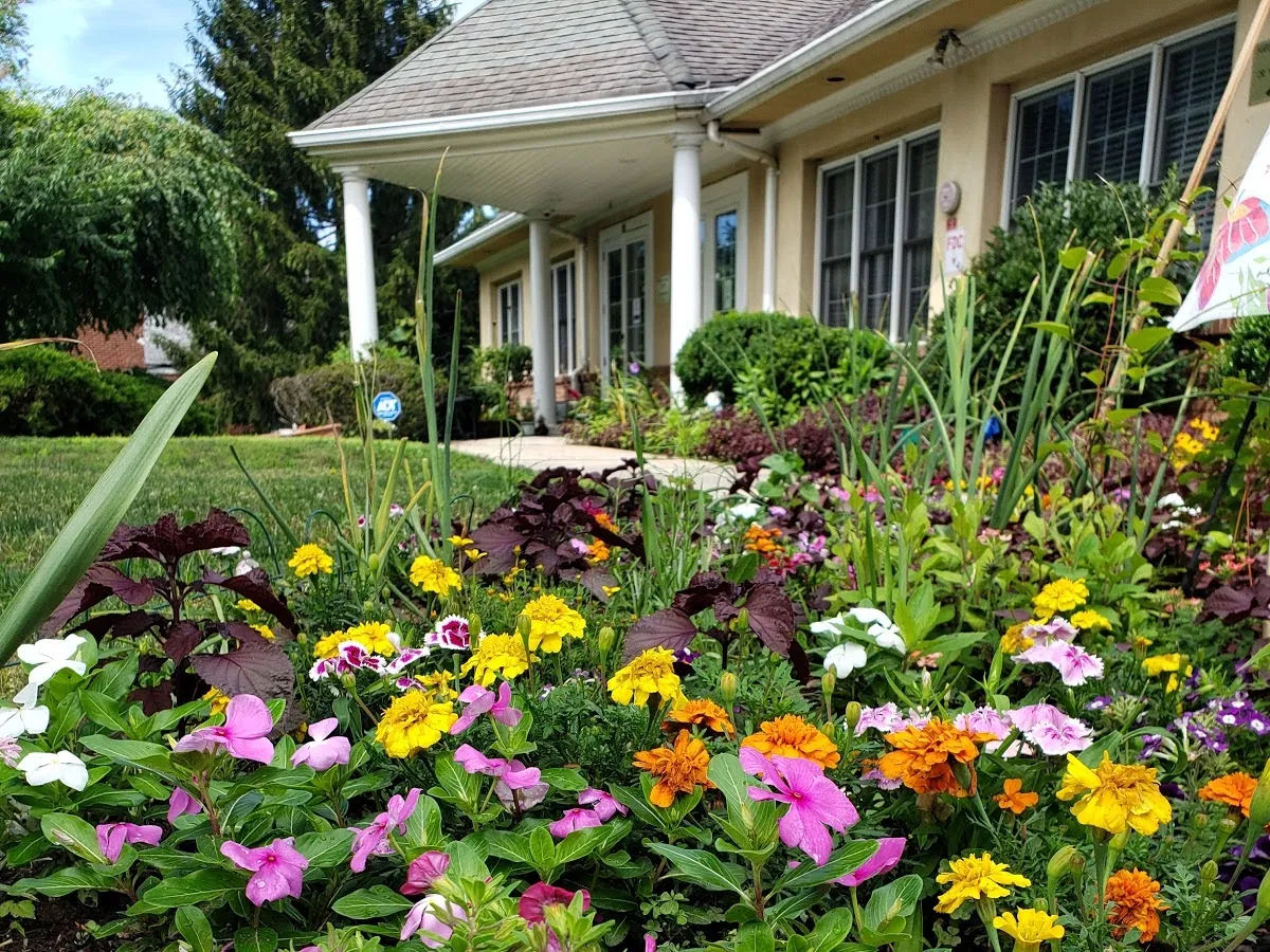 Natural Wellness Center