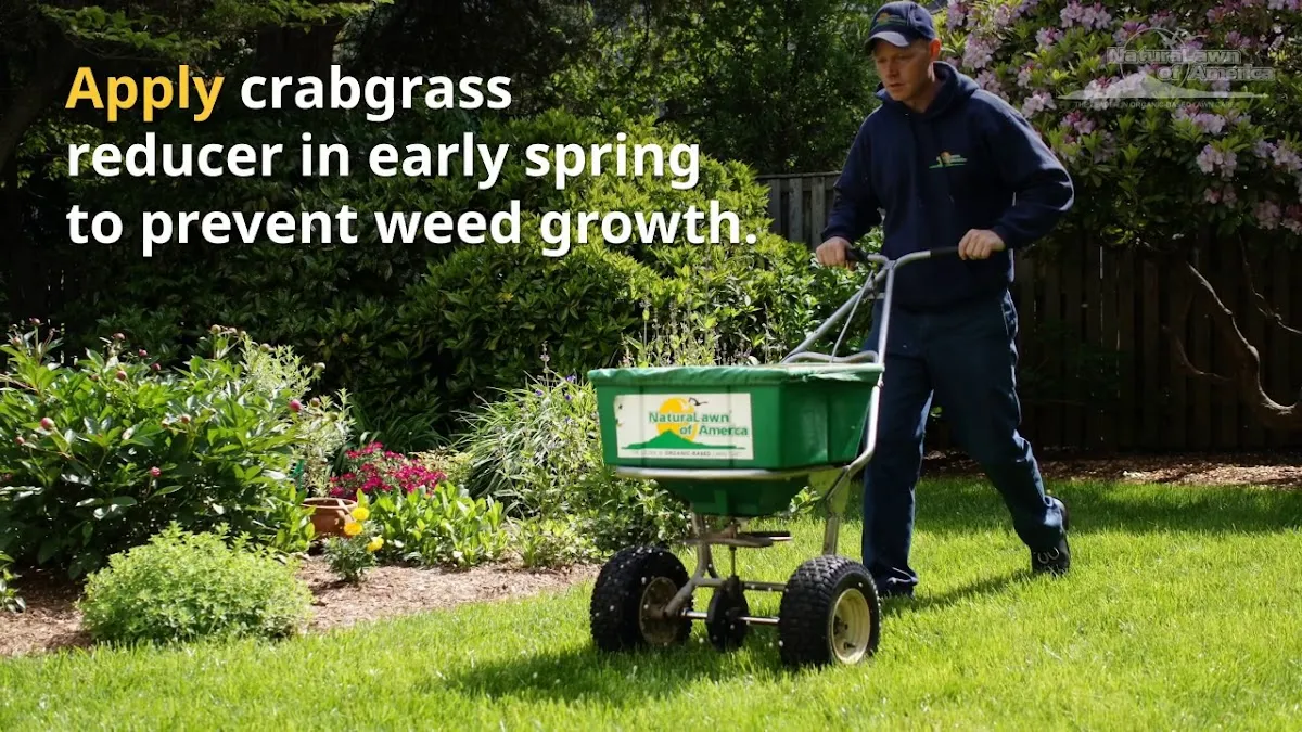 NaturaLawn of America photo 3