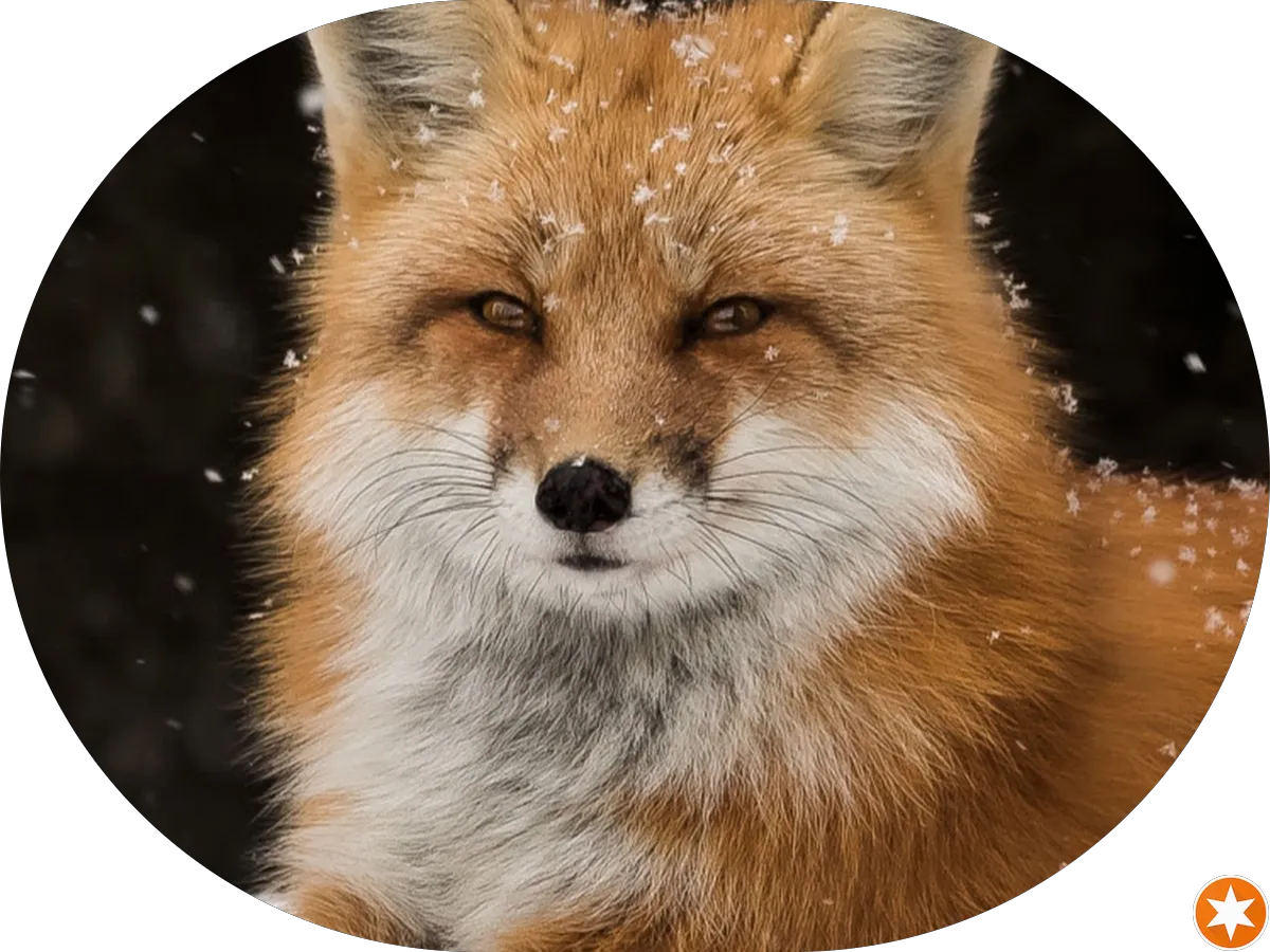 Nature Center of Cape May photo 5