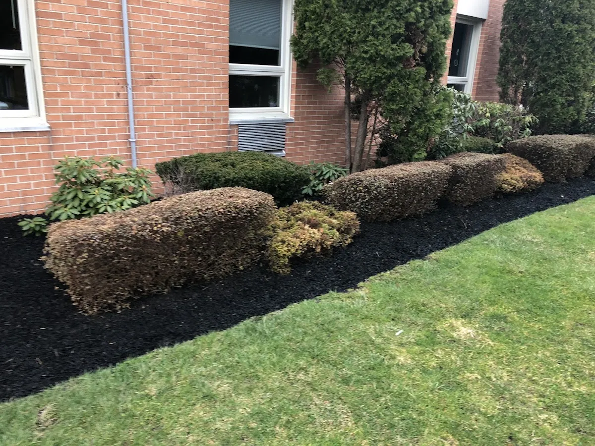 NATURE'S TOUCH photo 2