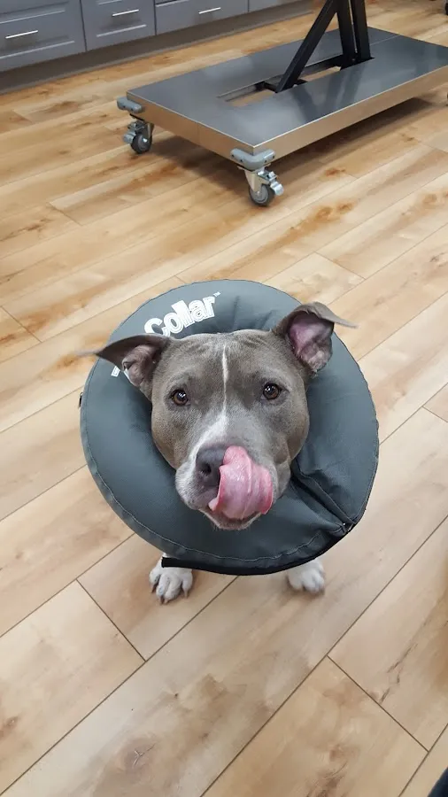 Neabore Veterinary Clinic