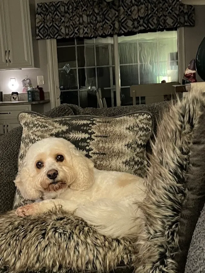 Neabore Veterinary Clinic photo 2