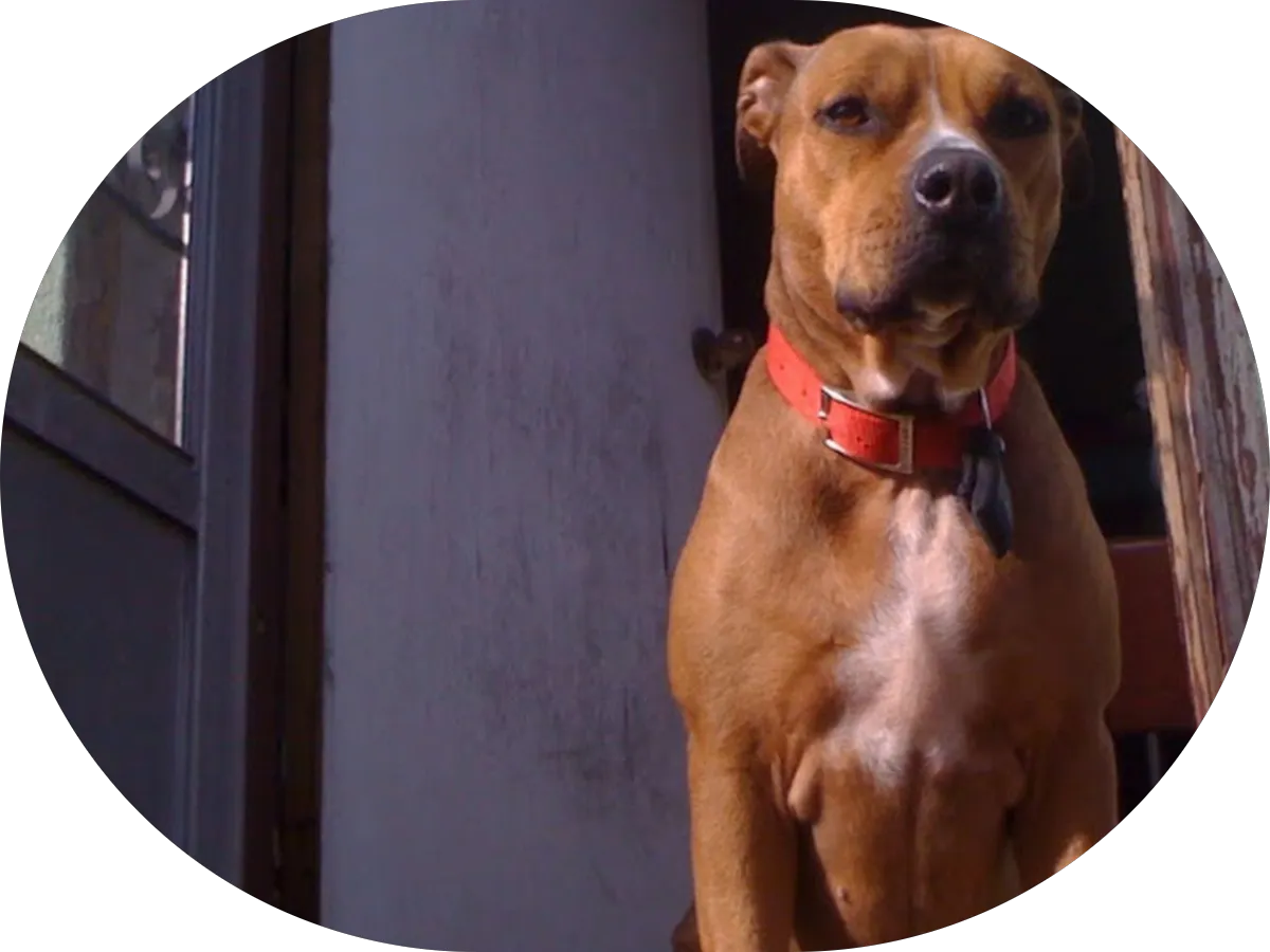 Nelson Chiropractic and Pilates Center