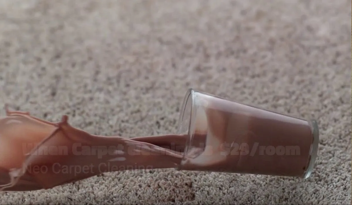 Neo Carpet and Upholstery Cleaning photo 5