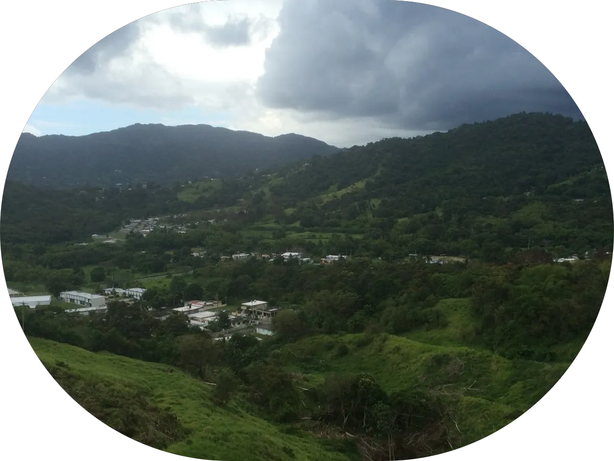 New Jersey Acupuncture & Wellness Center photo 5