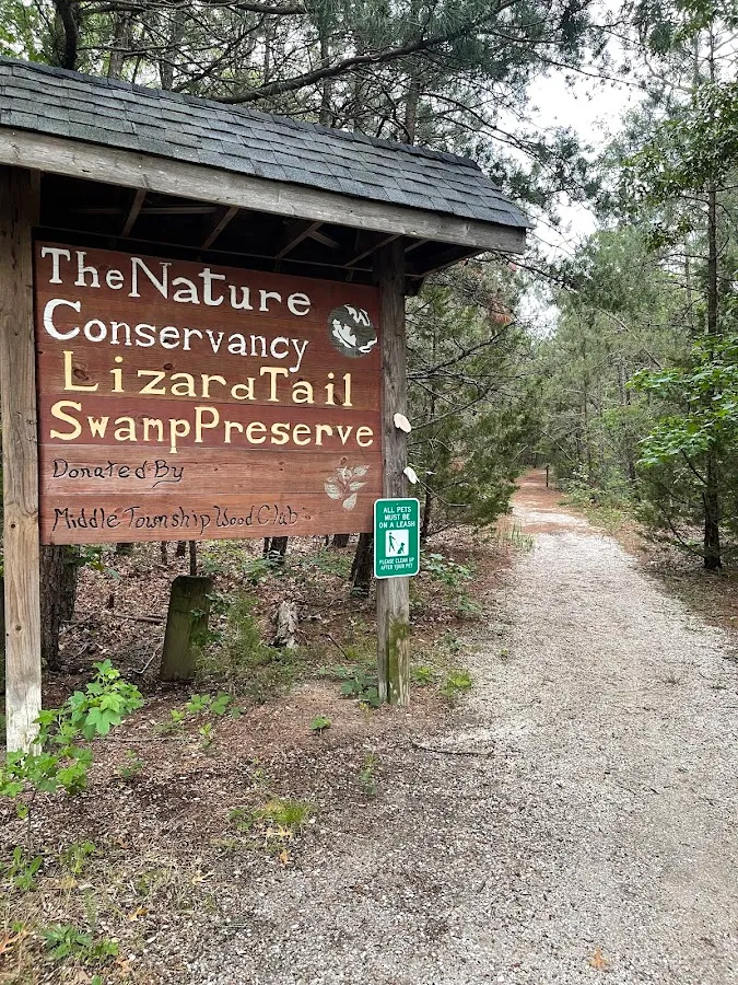 New Jersey Lizard Tail Swamp Preserve