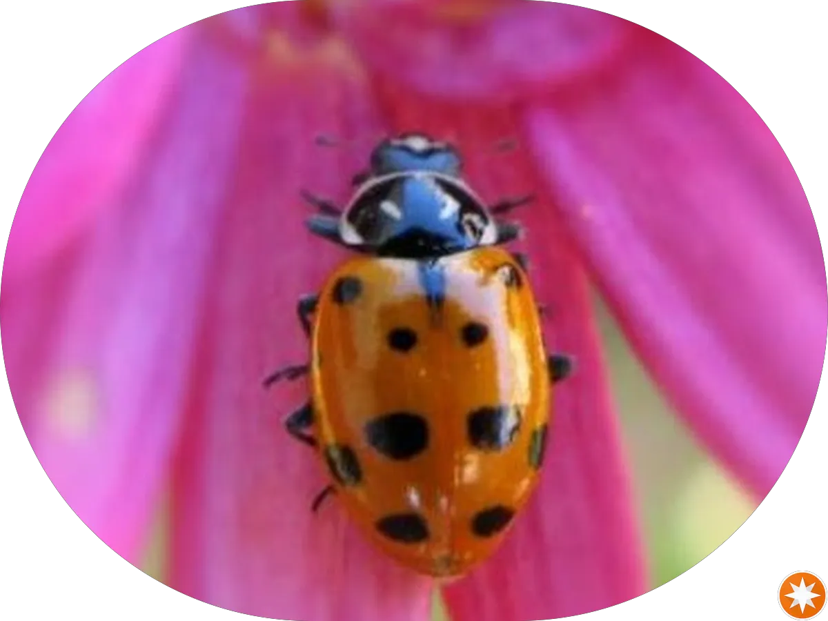 New Jersey Motorsports Park photo 5