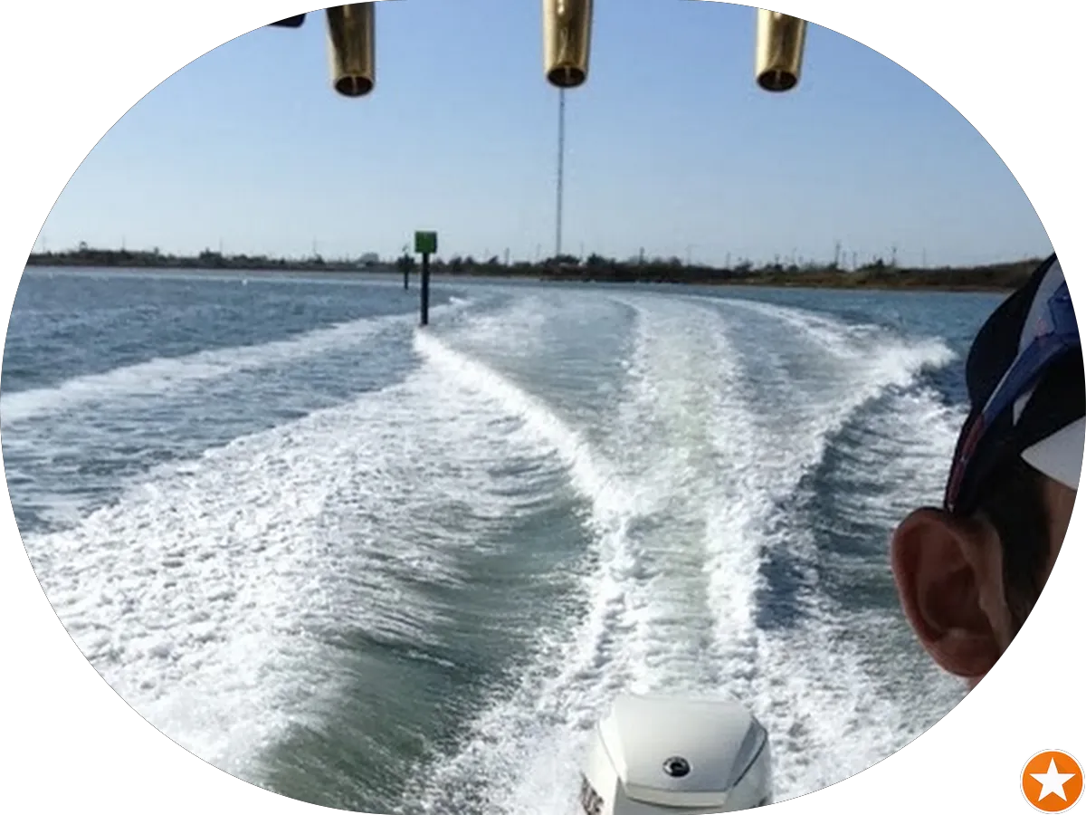 New Life Landscape Station photo 5