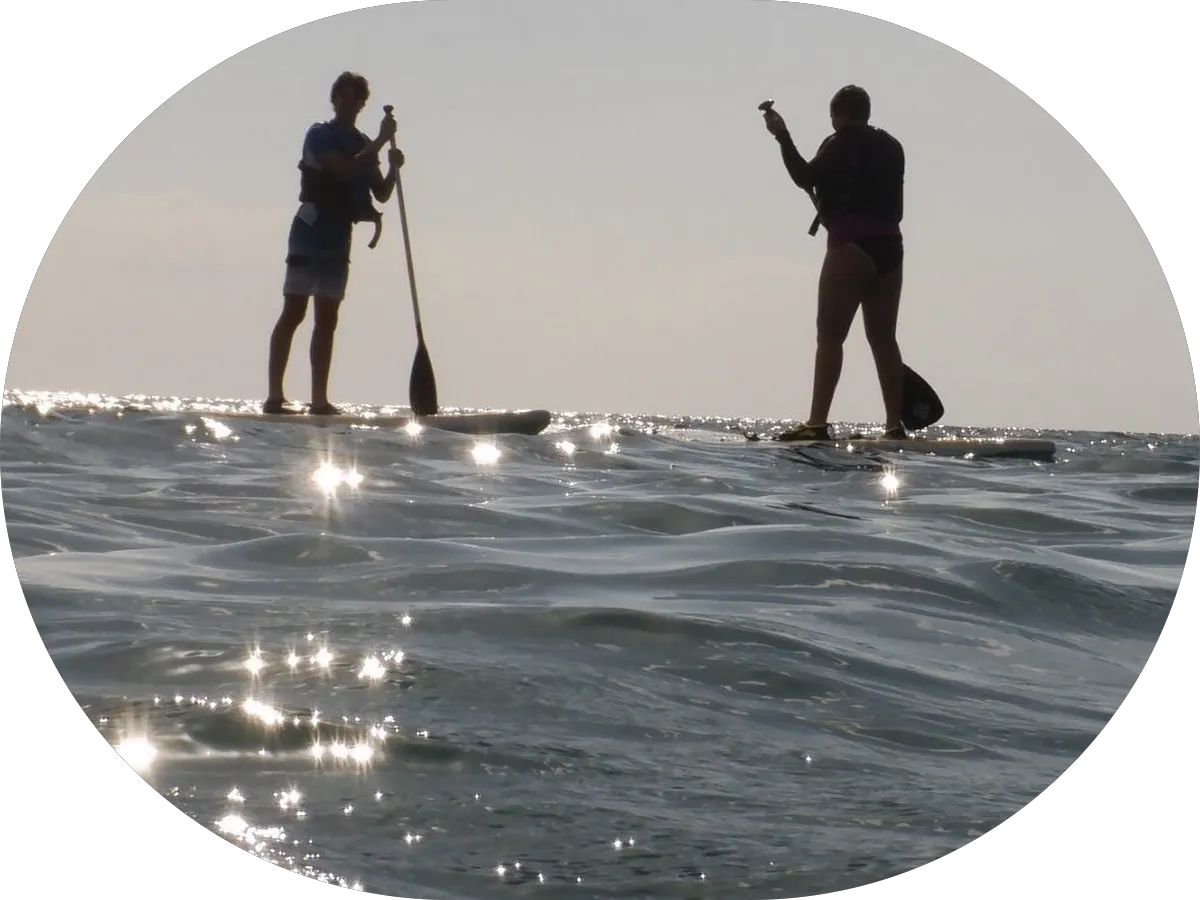 New Moon Hot Yoga photo 5