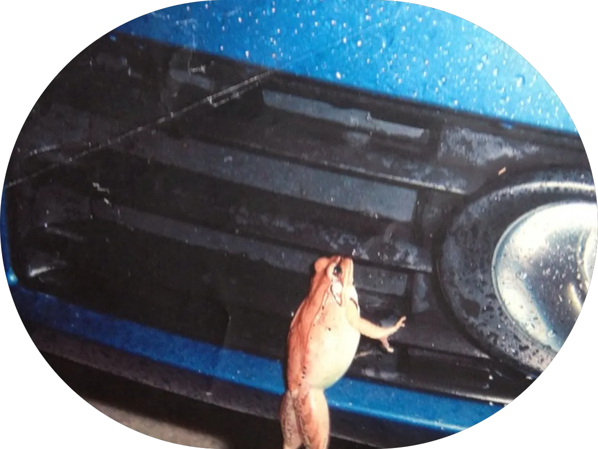 New Vision Builder photo 4