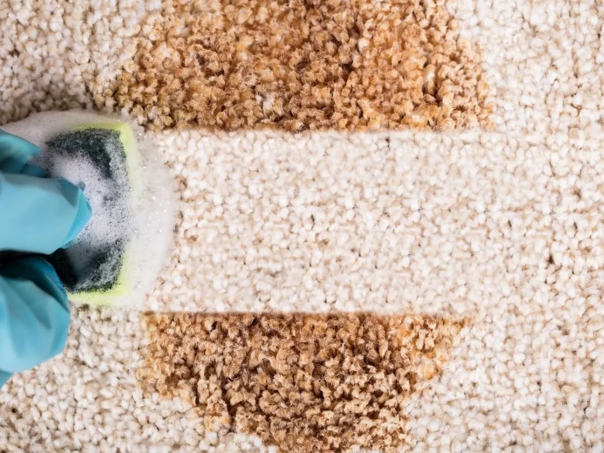 Newtown Hardware House photo 2