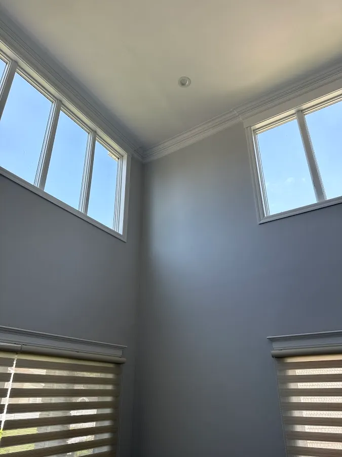 Next Custom Paint photo 2