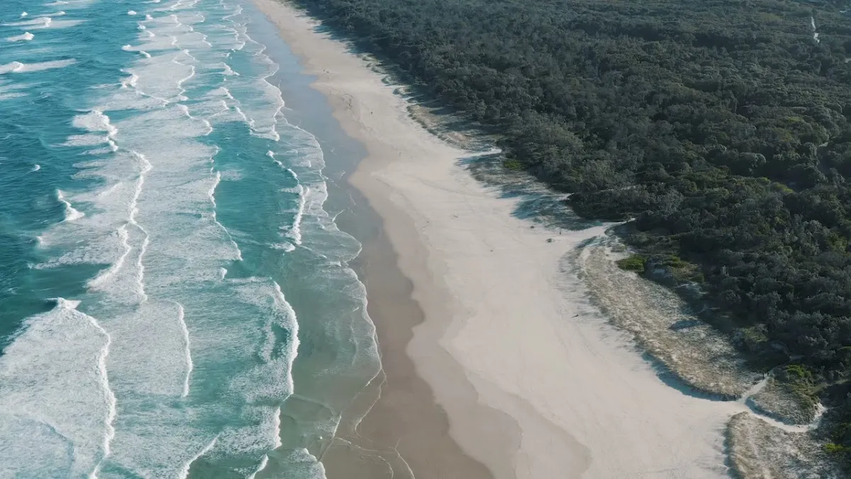 NGA Enterprises photo 4