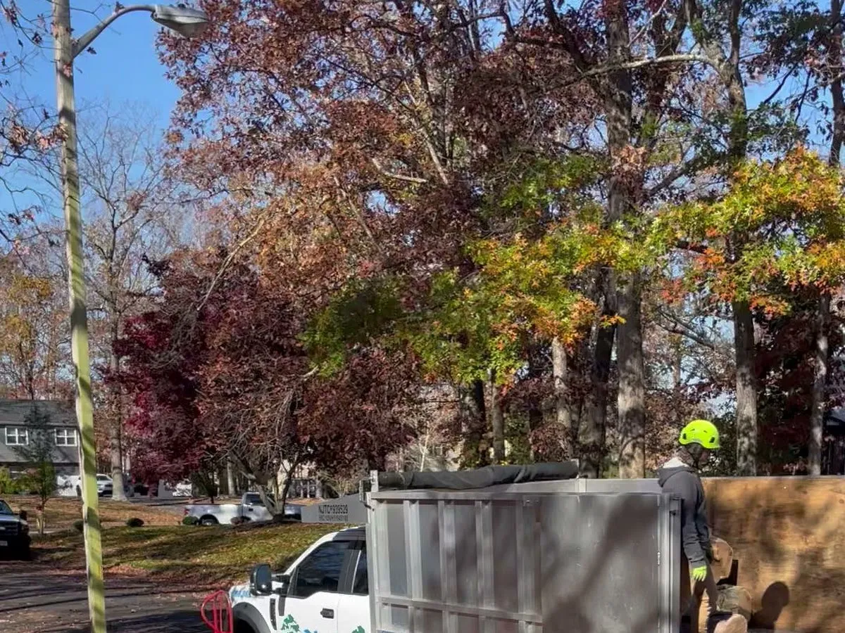 N&H Tree Service and Landscaping