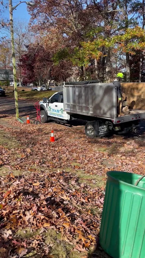 N&H Tree Service and Landscaping photo 2