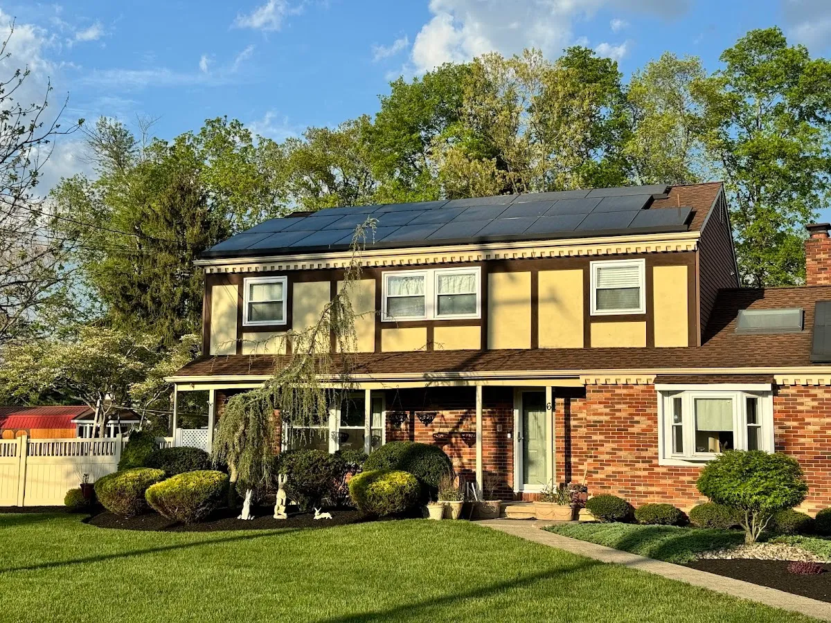 N&H Tree Service and Landscaping photo 3