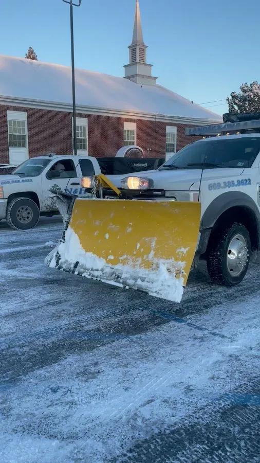 N&H Tree Service and Landscaping photo 5