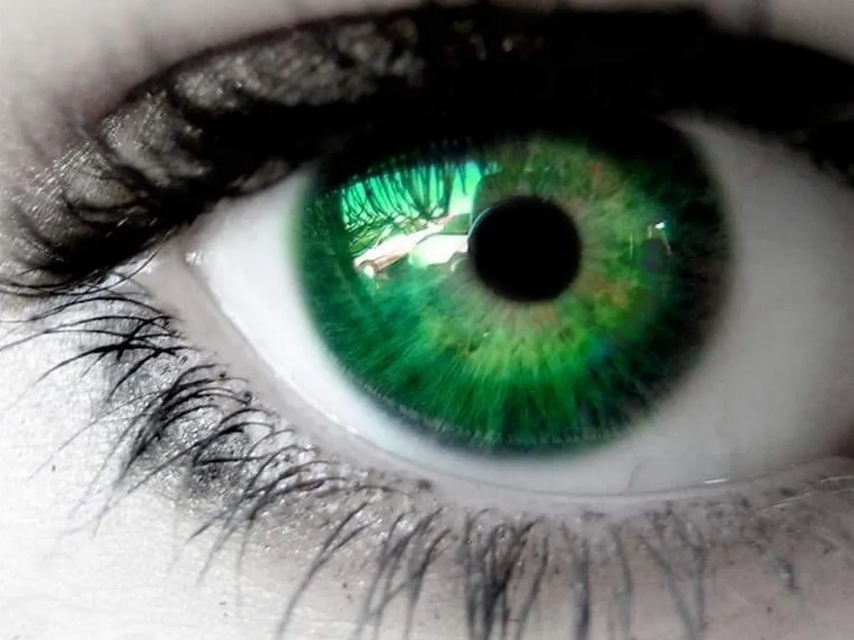 Nicole A. Pellegrino, OD