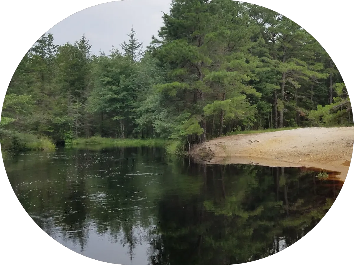 Nicole Baird Realtor photo 4