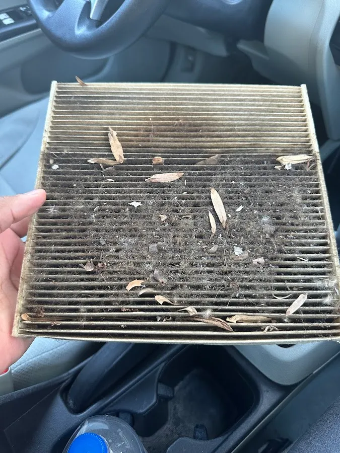 NJ Auto World photo 2