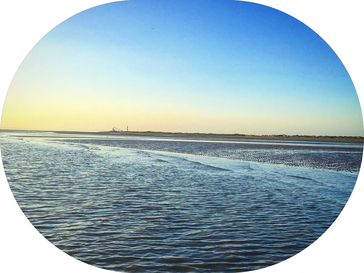 NJ Chrome Shop photo 4