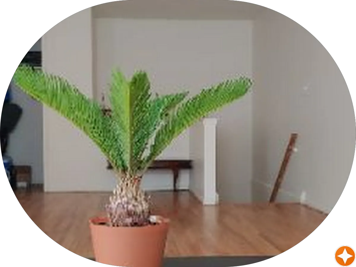 NJ Microwedding photo 4