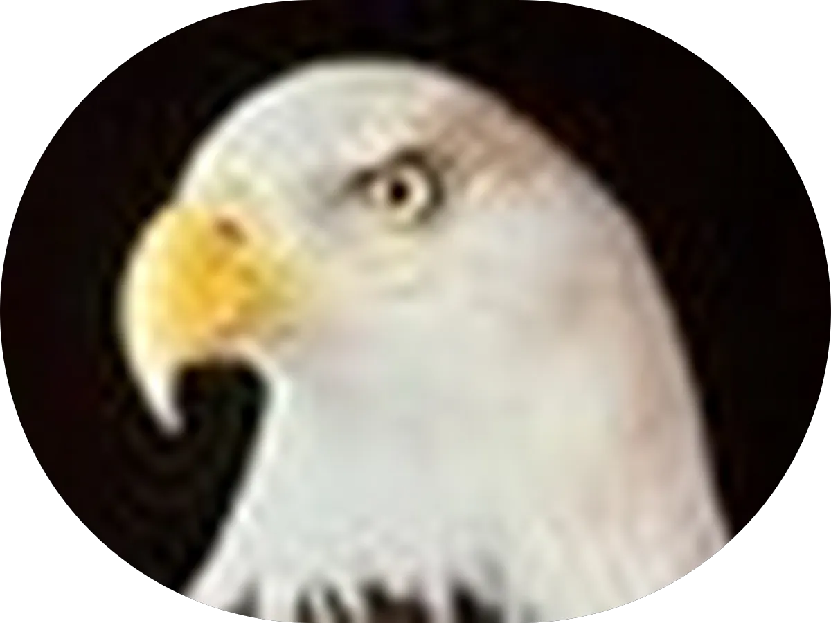 NJ NOTARY CLOSERS photo 2