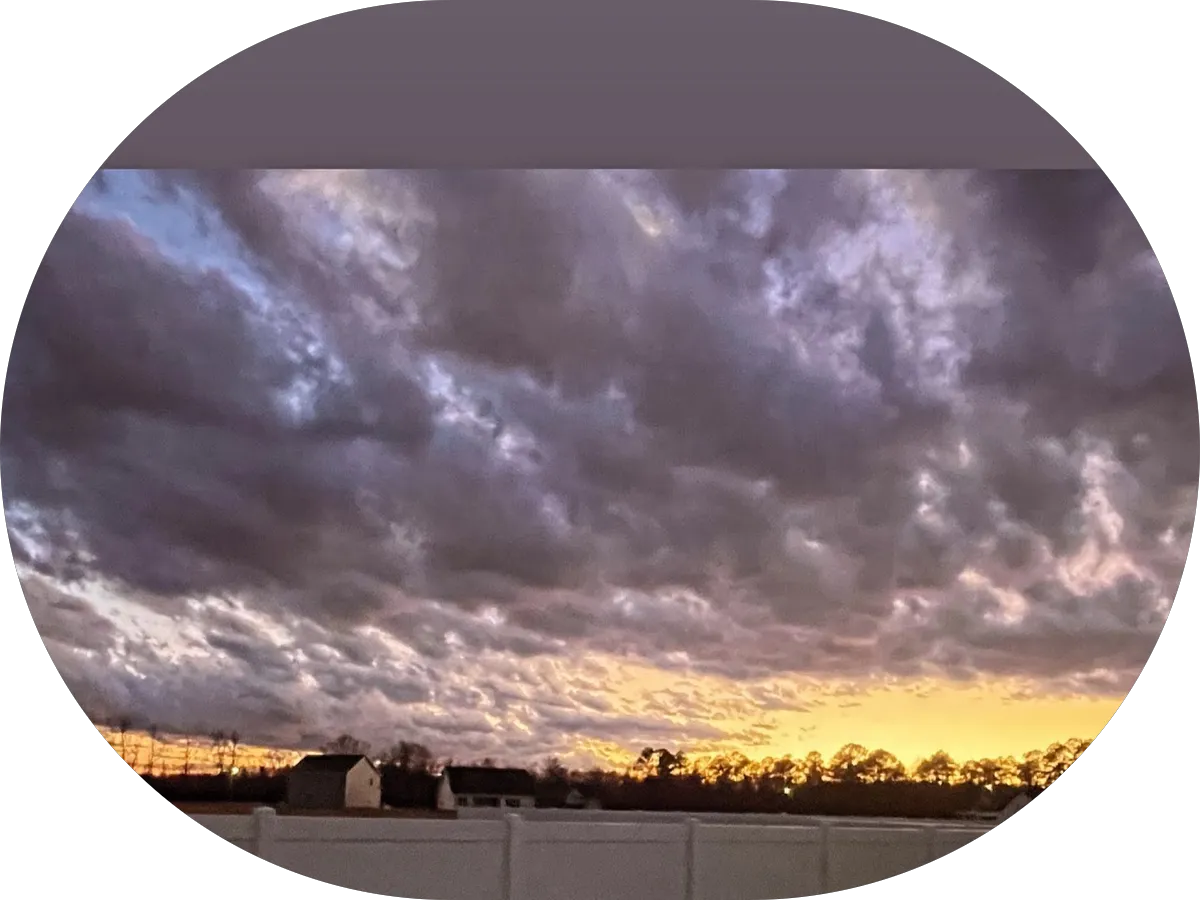 Noah's Dry Cleaners photo 5