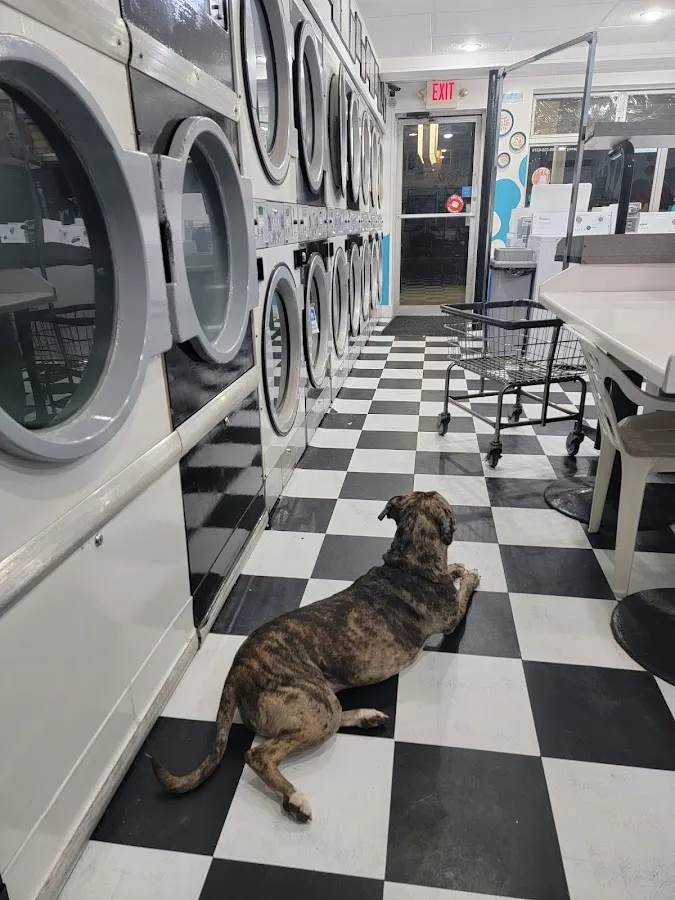 North Wildwood Laundry photo 4