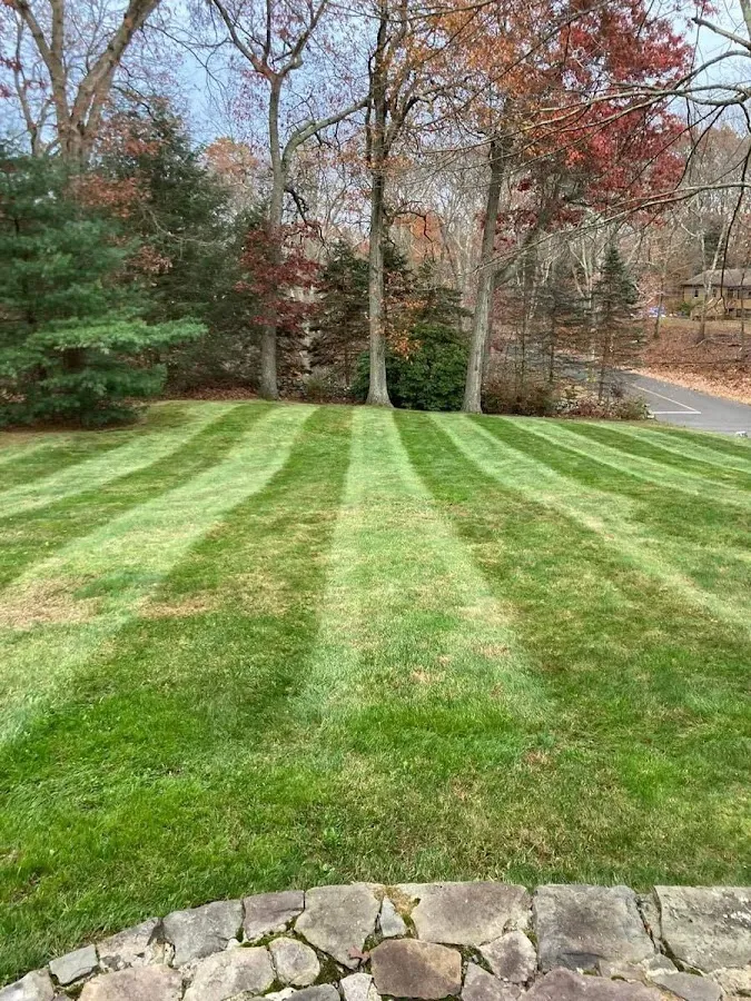 Northscape Lawn Care