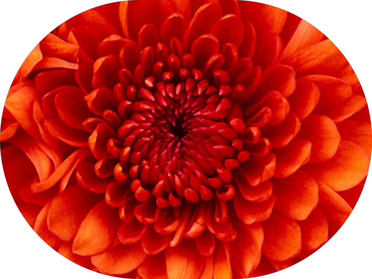 NorthStar Technology Services photo 2