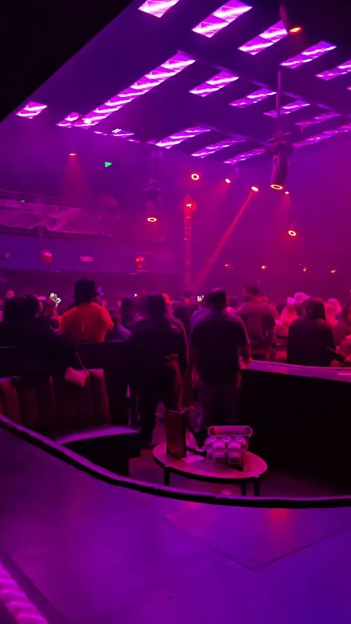 NOTO Philadelphia photo 4