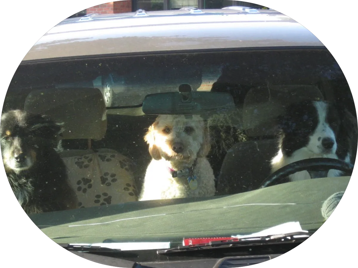 Nottingham Insurance photo 3