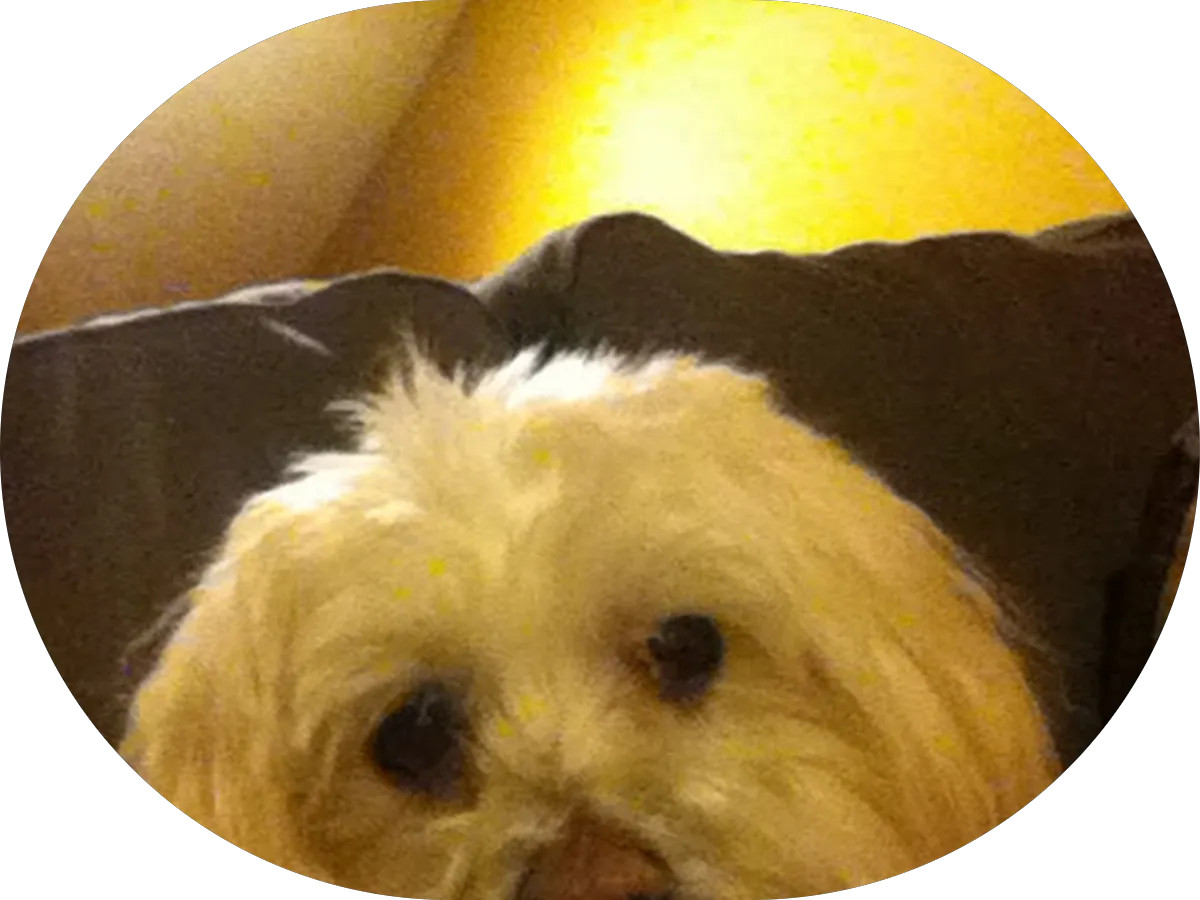 Nourished Hair and Beauty photo 4