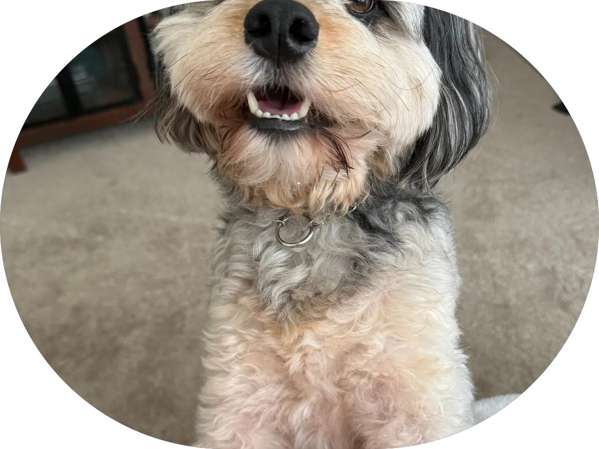 NovaCare Rehabilitation - Merchantville photo 5