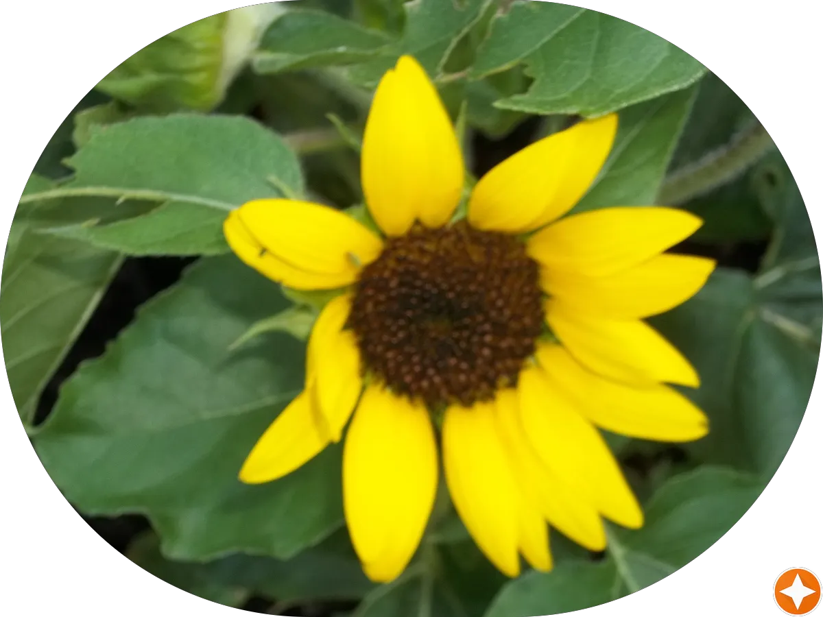 NovaCare Rehabilitation - Pennsville photo 4