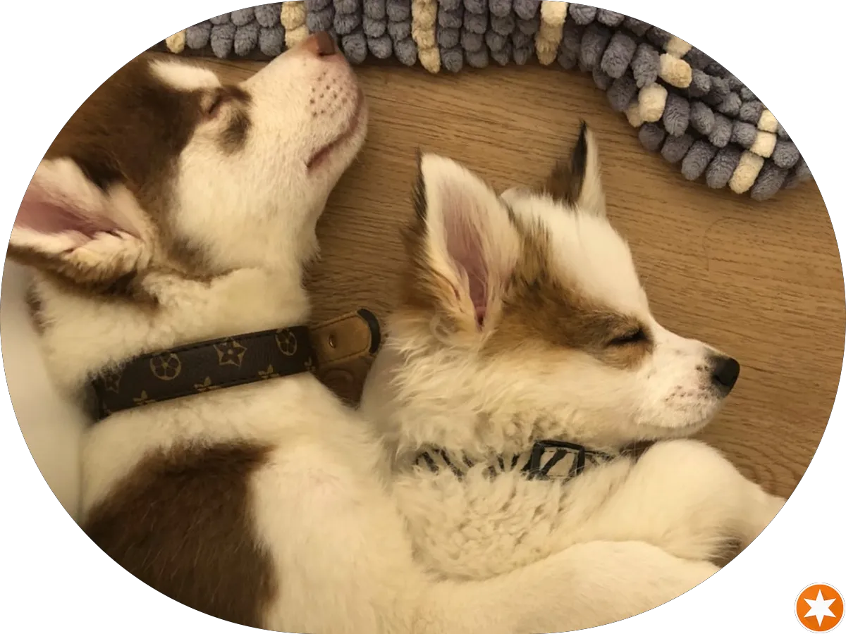 Nstyle Boutique photo 3