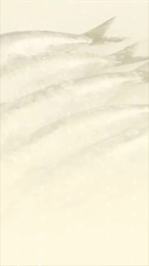 Nuno’s Meat Market photo 2