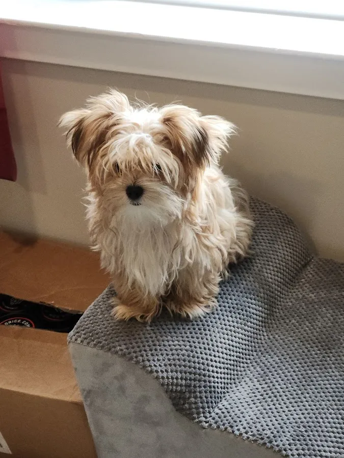 Nurture Pet Smithville-Galloway photo 4