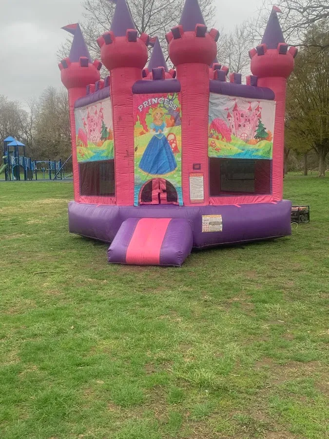 Nyla's world party rental LLC