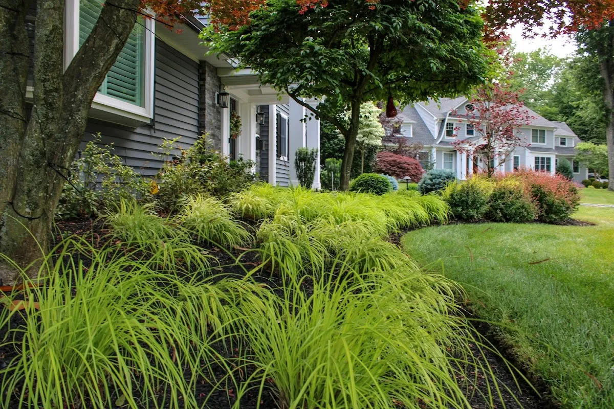 Oasis Landscape Design & Construction photo 3