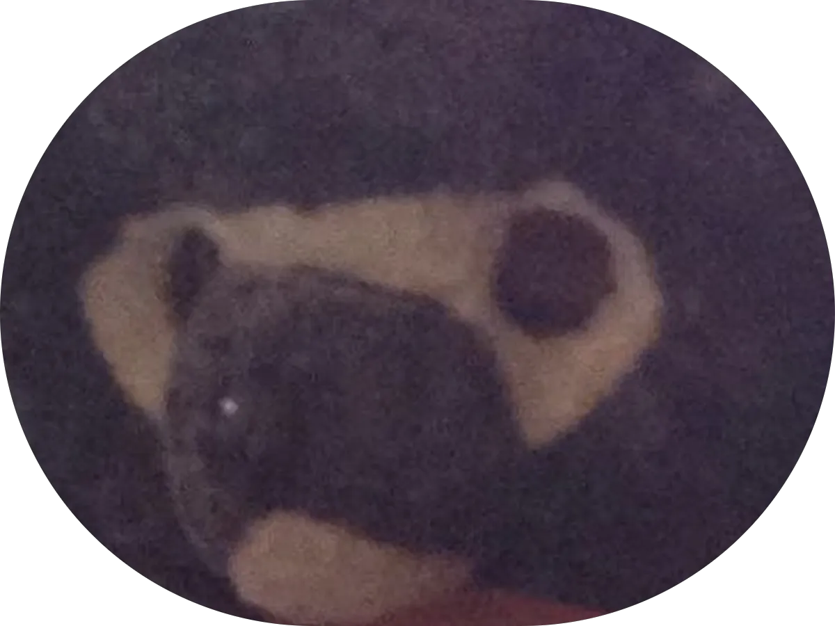 OC Escape Rooms photo 3