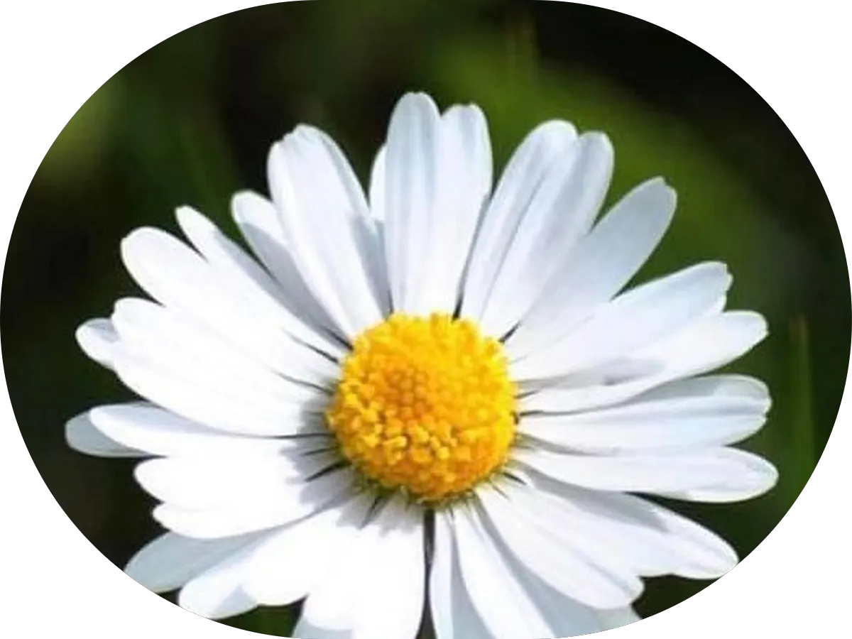 OC Maryland Handyman Services photo 4