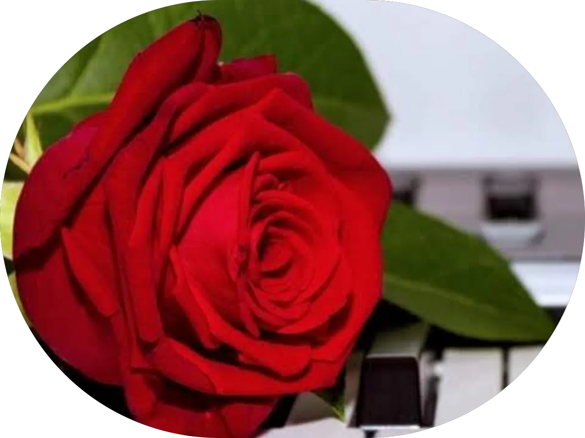 Ocean County MovingStorage-byVHBS