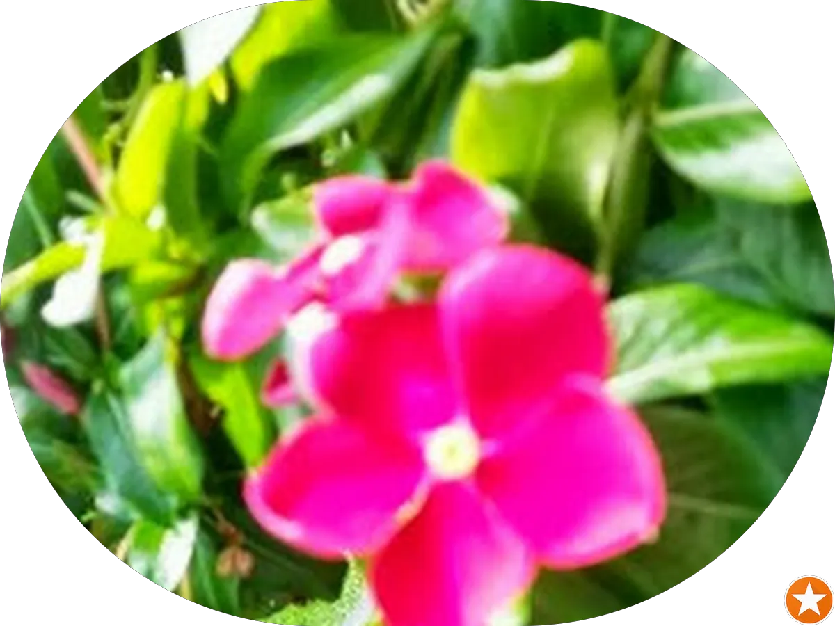 Ocean Medical Group PA photo 2