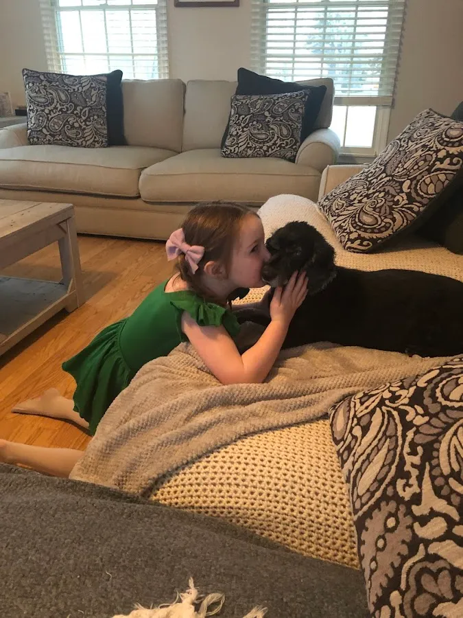 Ocean View Veterinary Hospital