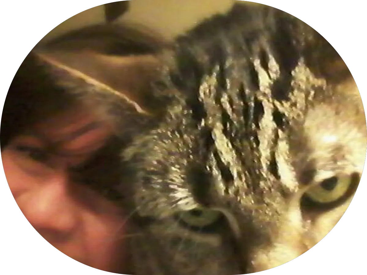 Oceanside OB/GYN of Somers Point 829 Shore photo 3