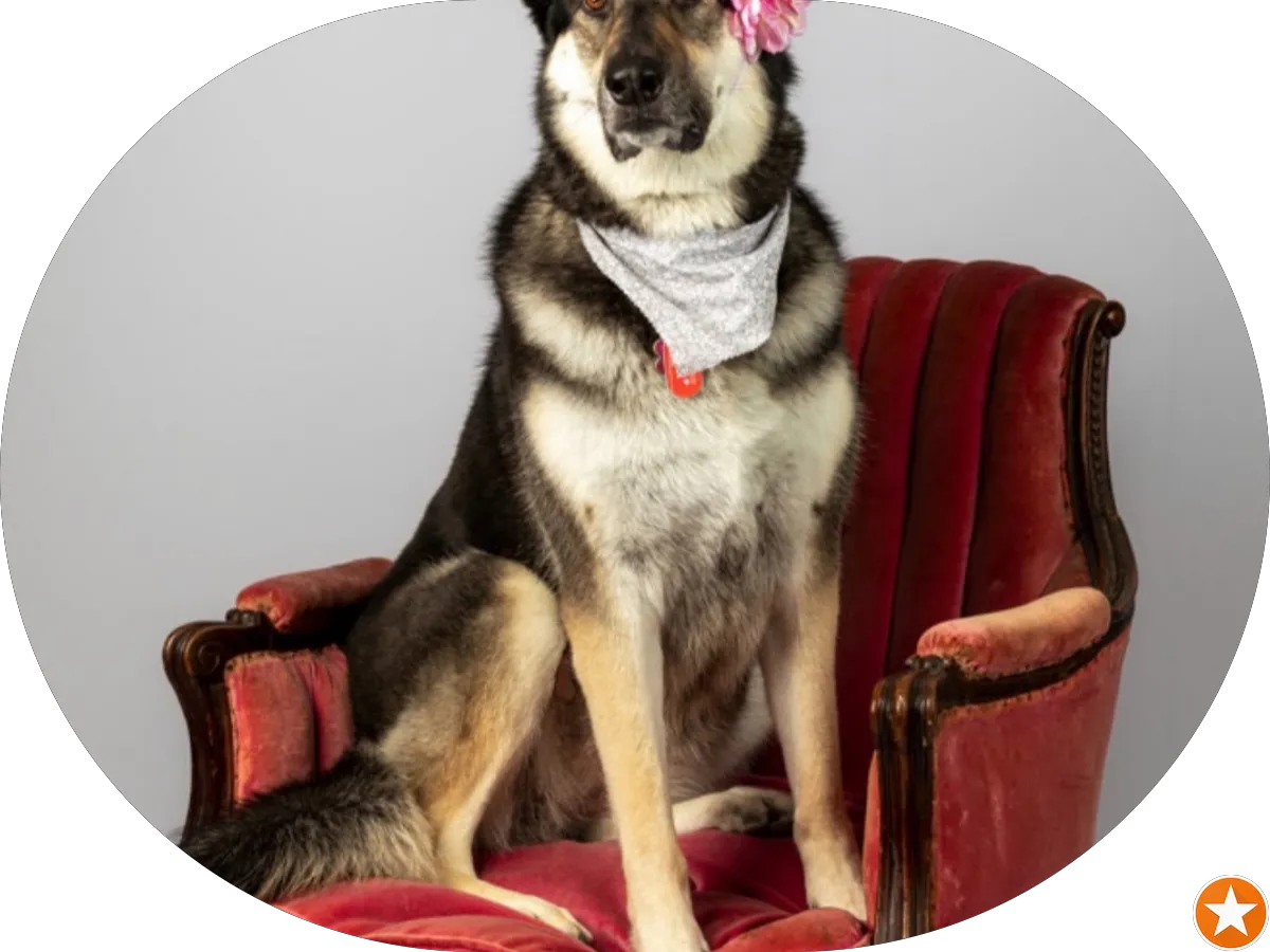 Office Adaptations photo 4